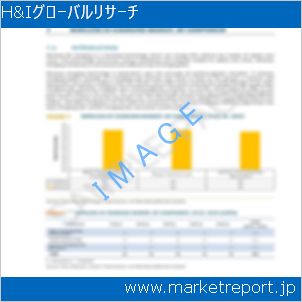 市場と産業調査レポートのイメージ